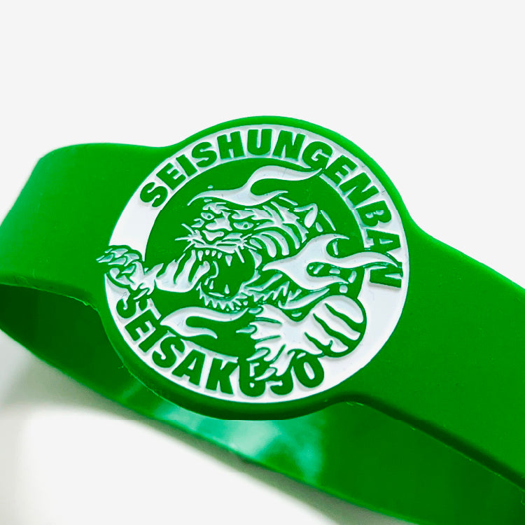 青春ヶ丘俊光ロゴラバーバンド